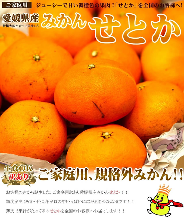 愛媛県産 ご家庭用 みかん せとか