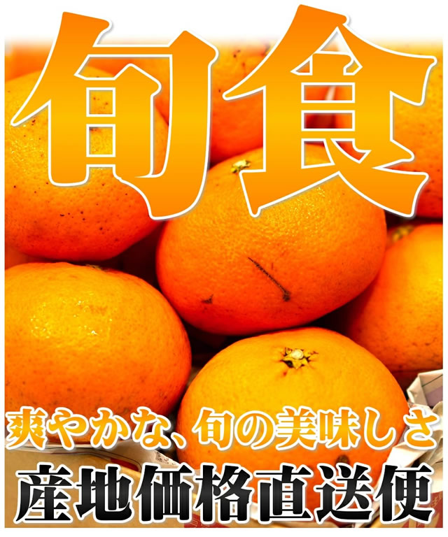 愛媛県産 ご家庭用 みかん せとか