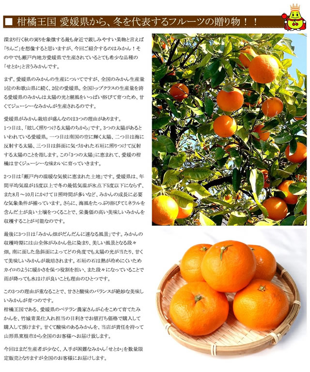 愛媛県産 ご家庭用 みかん せとか