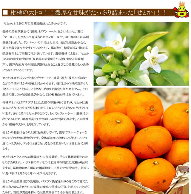 愛媛県産 ご家庭用 みかん せとか