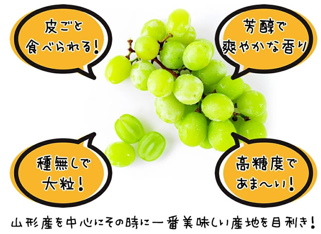 産地厳選 シャインマスカット