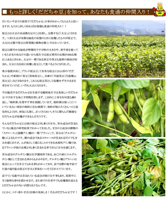 山形県産 枝豆「庄内茶豆」