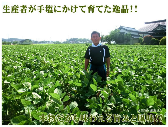 山形県産 枝豆「庄内茶豆」