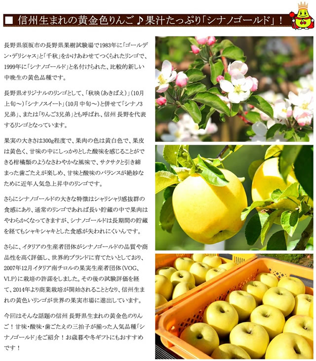 秀品 シナノゴールド