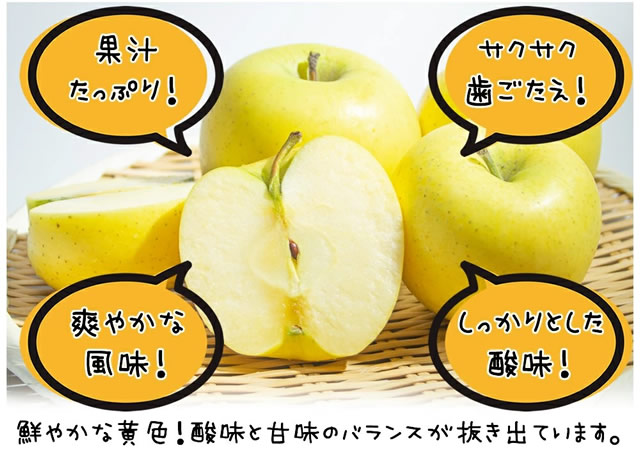 秀品 シナノゴールド