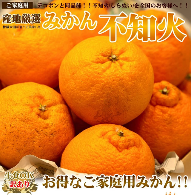 産地厳選 ご家庭用 みかん 不知火 しらぬい