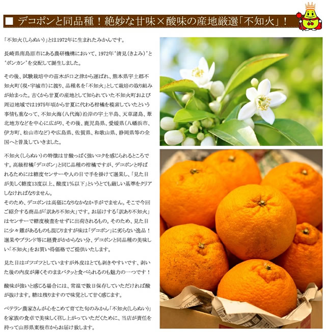 産地厳選 ご家庭用 みかん 不知火 しらぬい