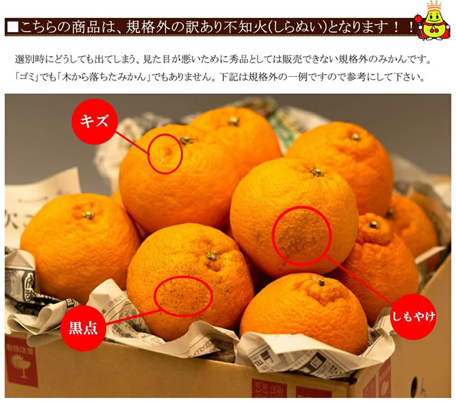 産地厳選 ご家庭用 みかん 不知火 しらぬい