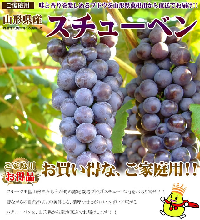 山形県産 スチューベン