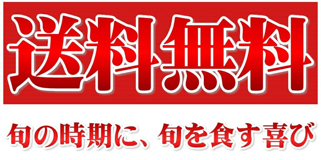 山形県産 スチューベン