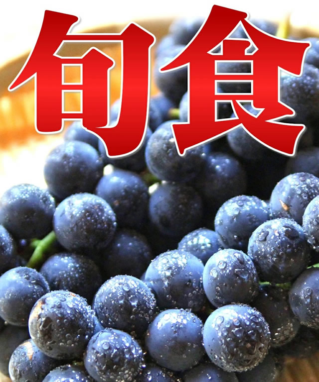 山形県産 スチューベン