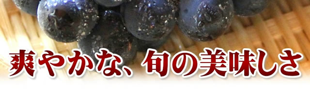 山形県産 スチューベン