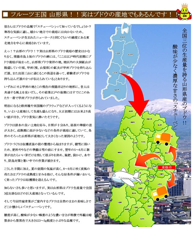 山形県産 スチューベン
