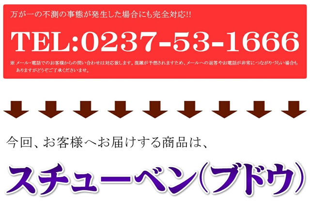 山形県産 スチューベン