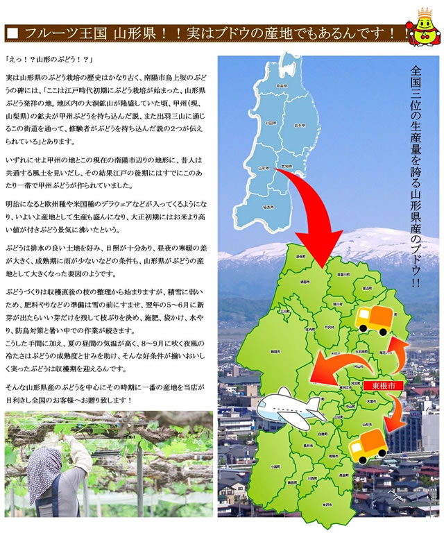 産地厳選 シャインマスカット