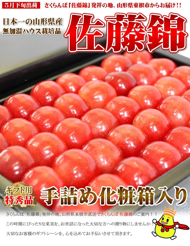 山形県産 さくらんぼ 佐藤錦