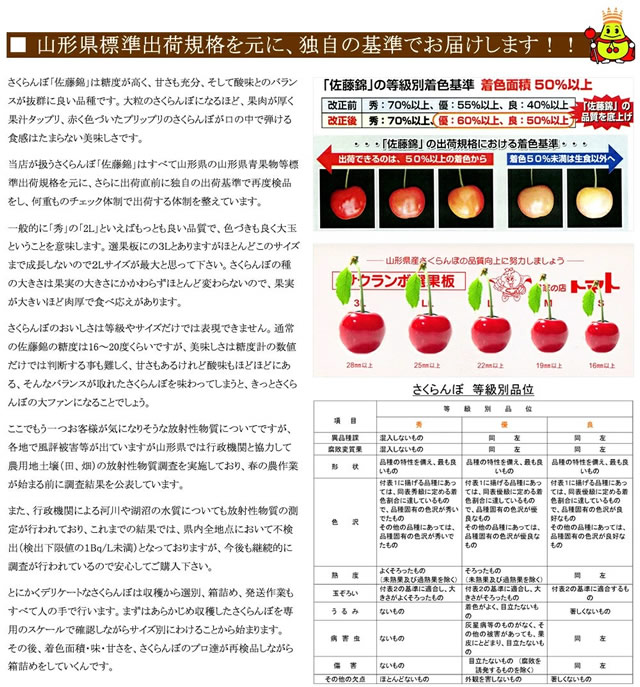 山形県産 さくらんぼ 佐藤錦