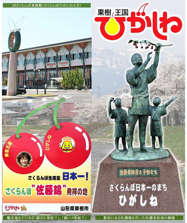 山形県産 さくらんぼ 佐藤錦