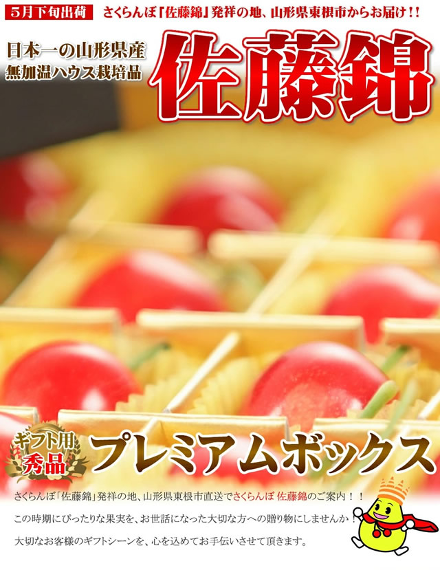 山形県産 さくらんぼ 佐藤錦
