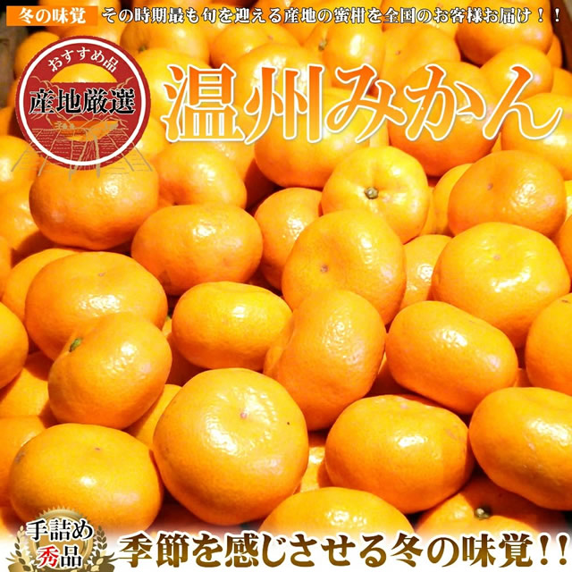 産地厳選 国産 温州みかん