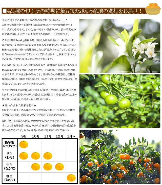 産地厳選 国産 温州みかん