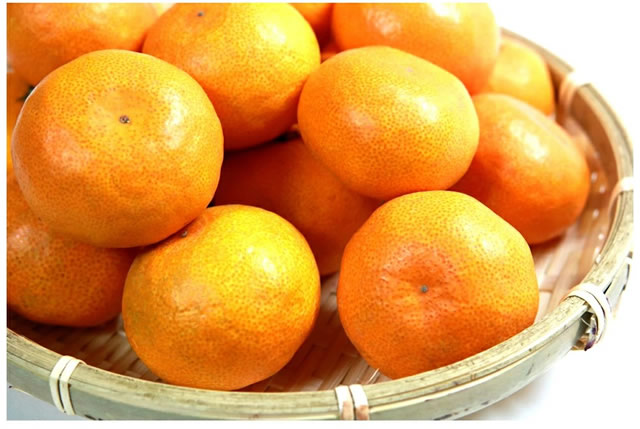 産地厳選 国産 温州みかん