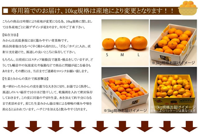 産地厳選 国産 温州みかん
