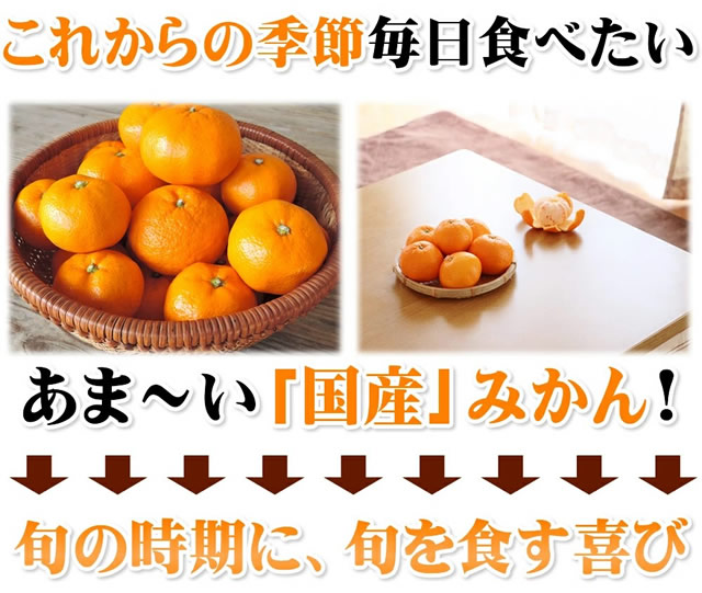 産地厳選 国産 温州みかん