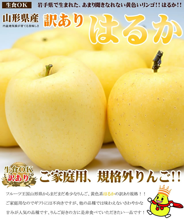 ご家庭用 はるか