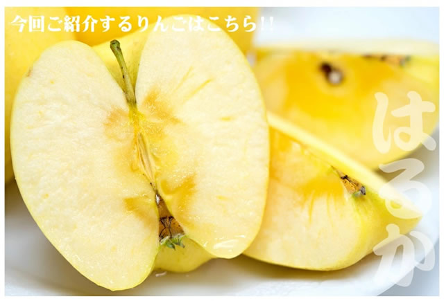 ご家庭用 はるか