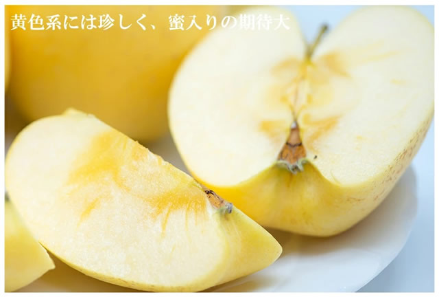 ご家庭用 はるか