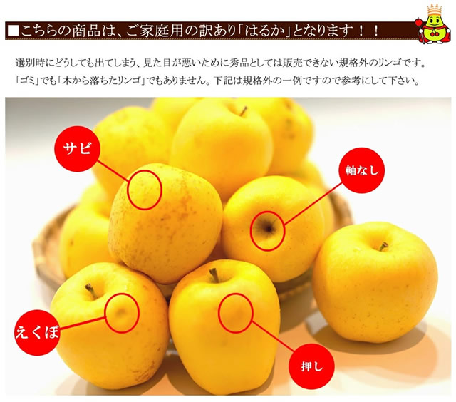 ご家庭用 はるか