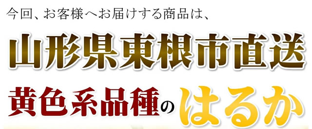 ご家庭用 はるか