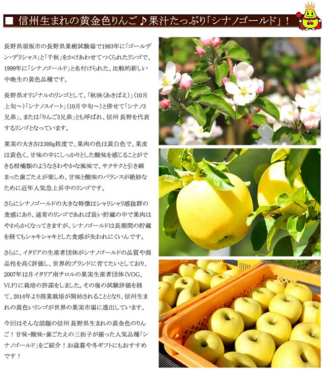 ご家庭用 シナノゴールド