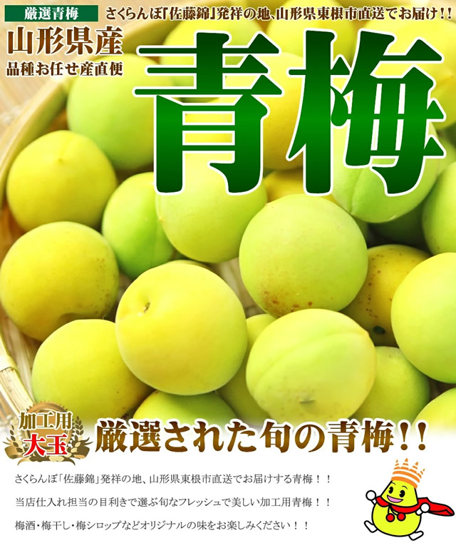 山形県産 青梅