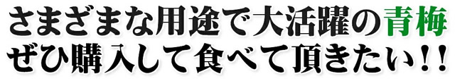 山形県産 青梅