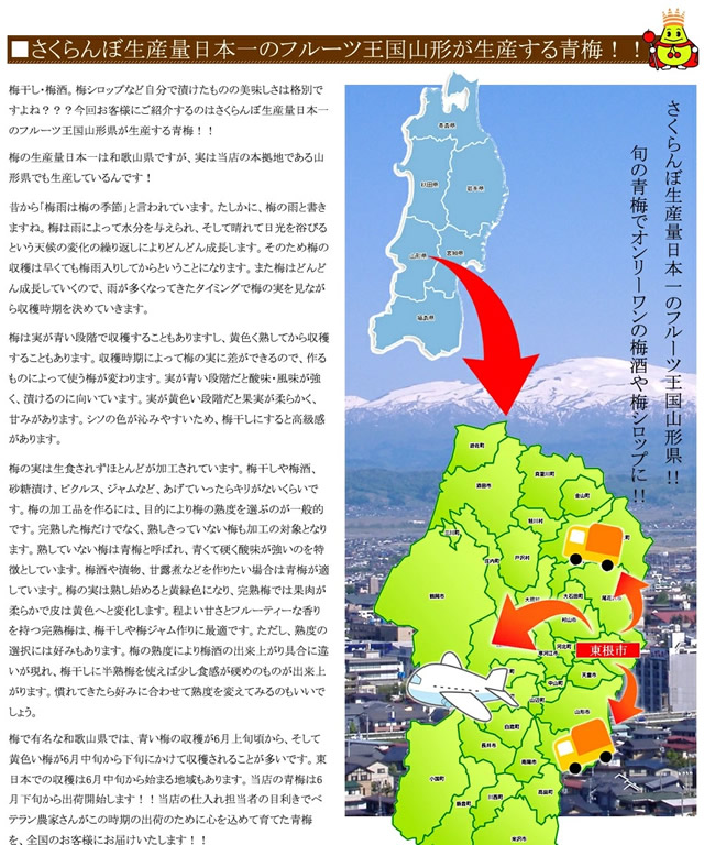 山形県産 青梅