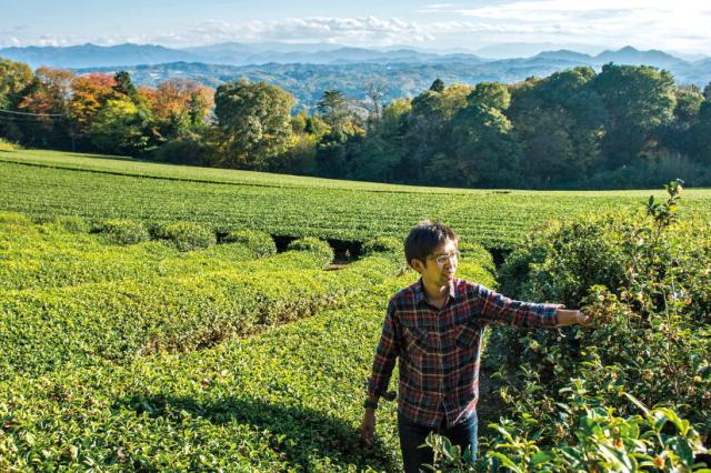 オーサワの薪火晩茶(三年番茶)冬摘み