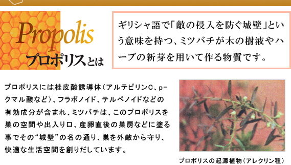 プロポリスキャンディー