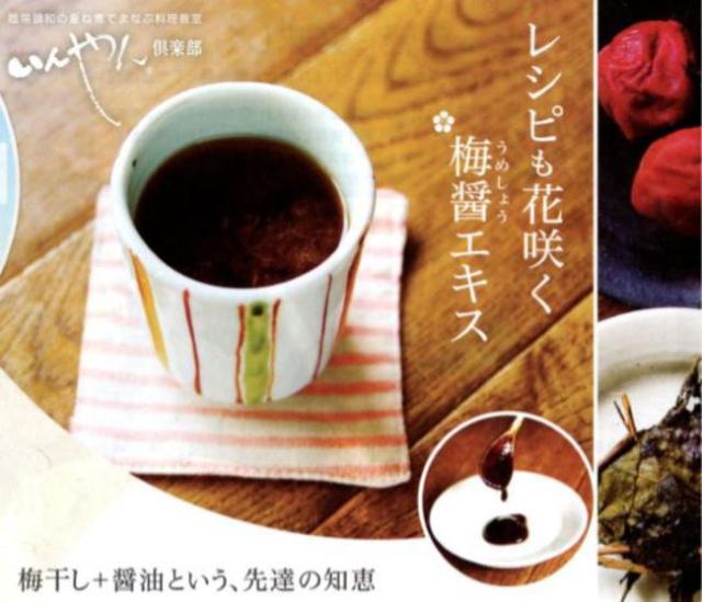 梅醤エキス濃縮番茶＆生姜入り