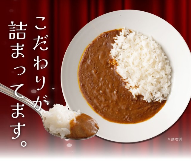 送料無料 食研カレー 2食(200g×2) 日本食研 中辛 レトルトカレー ポイント消化 食品 お試し ポイント消費 グルメ 非常食 保存食  防災の通販はau PAY マーケット - 築地ばんや | au PAY マーケット－通販サイト