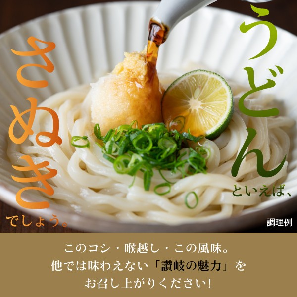 格安saleスタート ボ 3種から選べる 讃岐生うどん 30食(だし醤油付) or 30食(兼用つゆ うどん