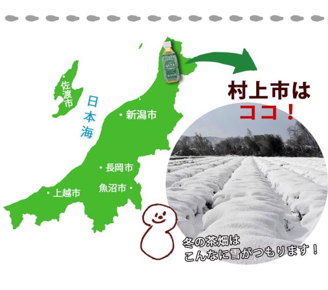 amscope デュアルハロゲンライト付き10倍20倍40倍の実体顕微鏡 中古品