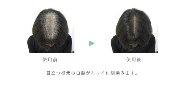 白髪使用前・使用後