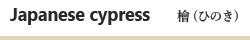 ひのき（Japanese cypress）