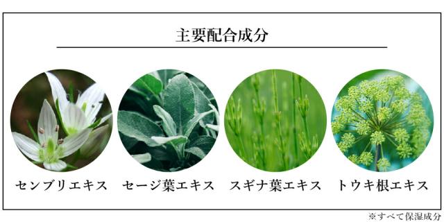 主要配合成分