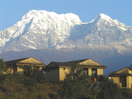 ナイアード　ビーワックス　クリーム　リップクリーム