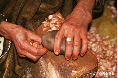 アルガンオイルの作り方