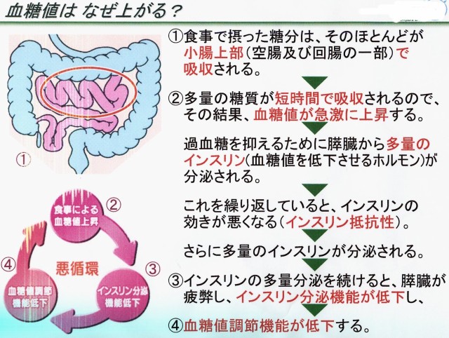 直送商品 血糖値をコントロール 糖解錠 トウカイジョウ 370錠 漢方薬 第2類医薬品 2個で送料無料 さらに何かおまけをプレゼント 第 育毛 抜け毛 フケ等 第一 二類医薬品 指定第二医薬品含む Www Simplycalla Com