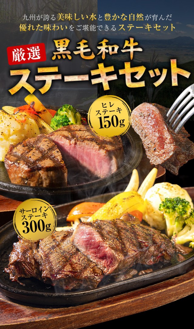 黒毛和牛 サーロイン ヒレ ステーキ 2枚セット450g 送料無料